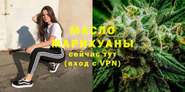 шишки Новодвинск